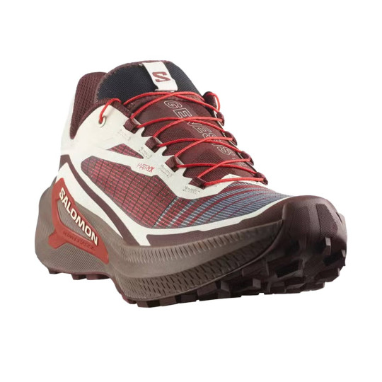 Running Shoes Salomon Genesis 2 Vanilla Ice/Iron/Lava Falls