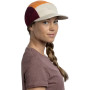 5 Panel Venture Cap 27012-Cloud