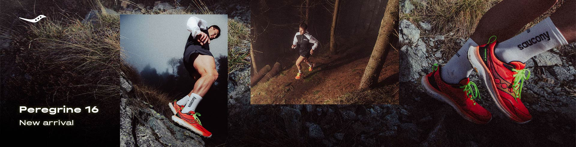 peregrine 16 hombre noviembre 2025