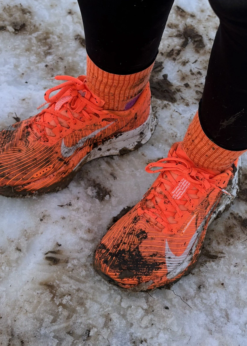 post card img5878jpeg4.webp