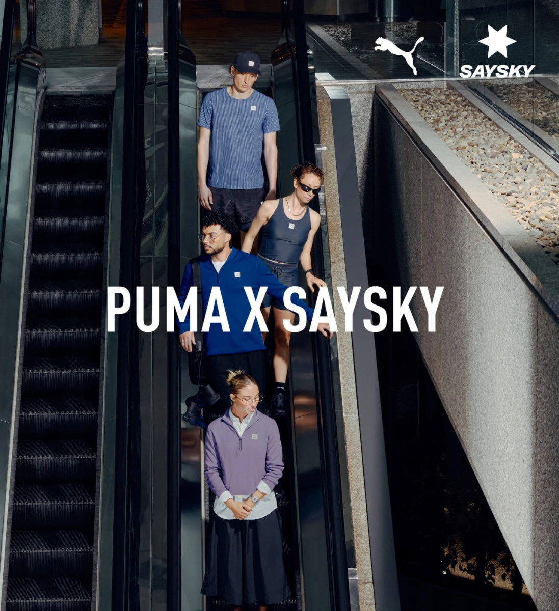 post card pumaxsayskyjpg1.webp
